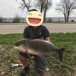 Meet your Posher, Toua